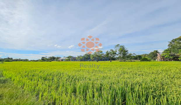 Land for Sale in Krong Siem Reap-Sambour