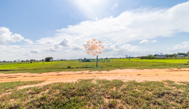 Urgent Sale, Land in Krong Siem Reap