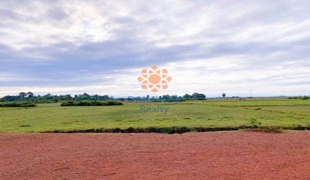 Land for Sale in Siem Reap-Kandaek