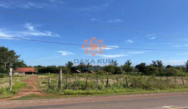 Land for Sale in Siem Reap-Prasat Bakong