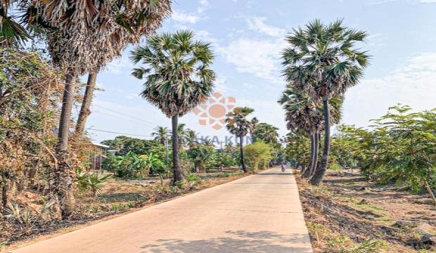 Land for Sale in Siem Reap-Run Ta Aek